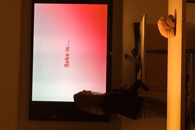 presentatie-susan-seksualiteit-bij-dementie-liefde-lust-of-last-237 - Afbeelding 2 van 9