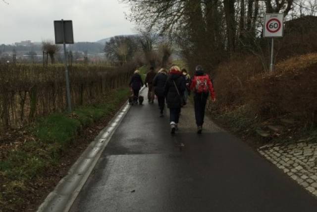 voorjaarswandeling-15-03-2014-140 - Afbeelding 3 van 17