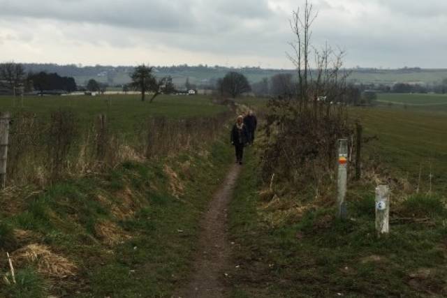 voorjaarswandeling-15-03-2014-141 - Afbeelding 5 van 17