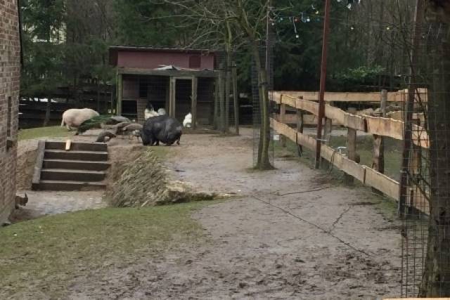 voorjaarswandeling-15-03-2014-152 - Afbeelding 11 van 17