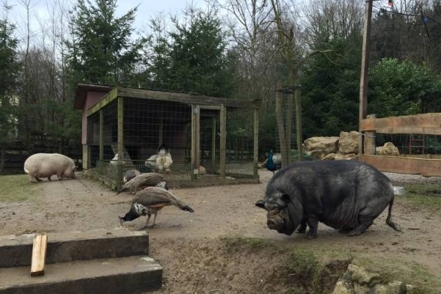 voorjaarswandeling-15-03-2014-160 - Afbeelding 17 van 17